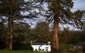 Ynyshir Restaurant And Rooms